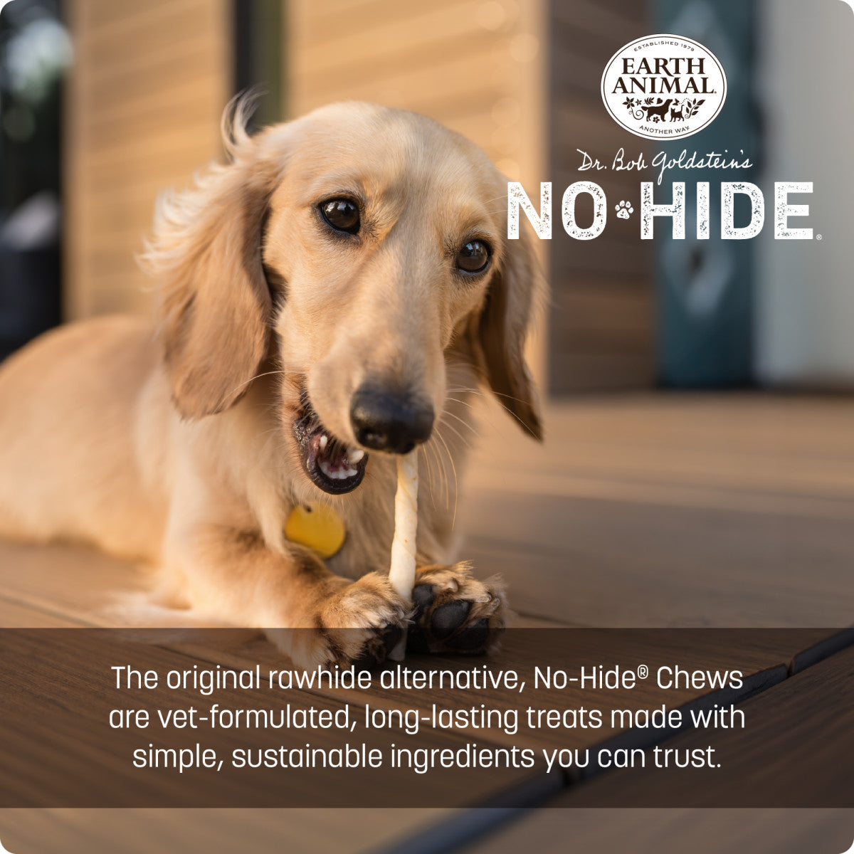 No-Hide Beef Stix - XS / 10 ct. Pack (life)