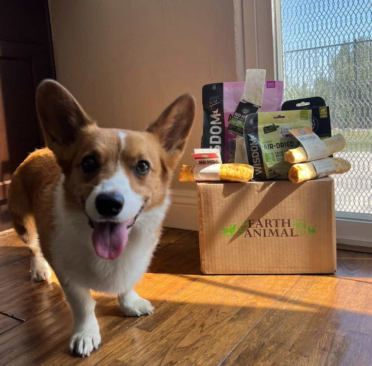 — Arlo's pet parent
