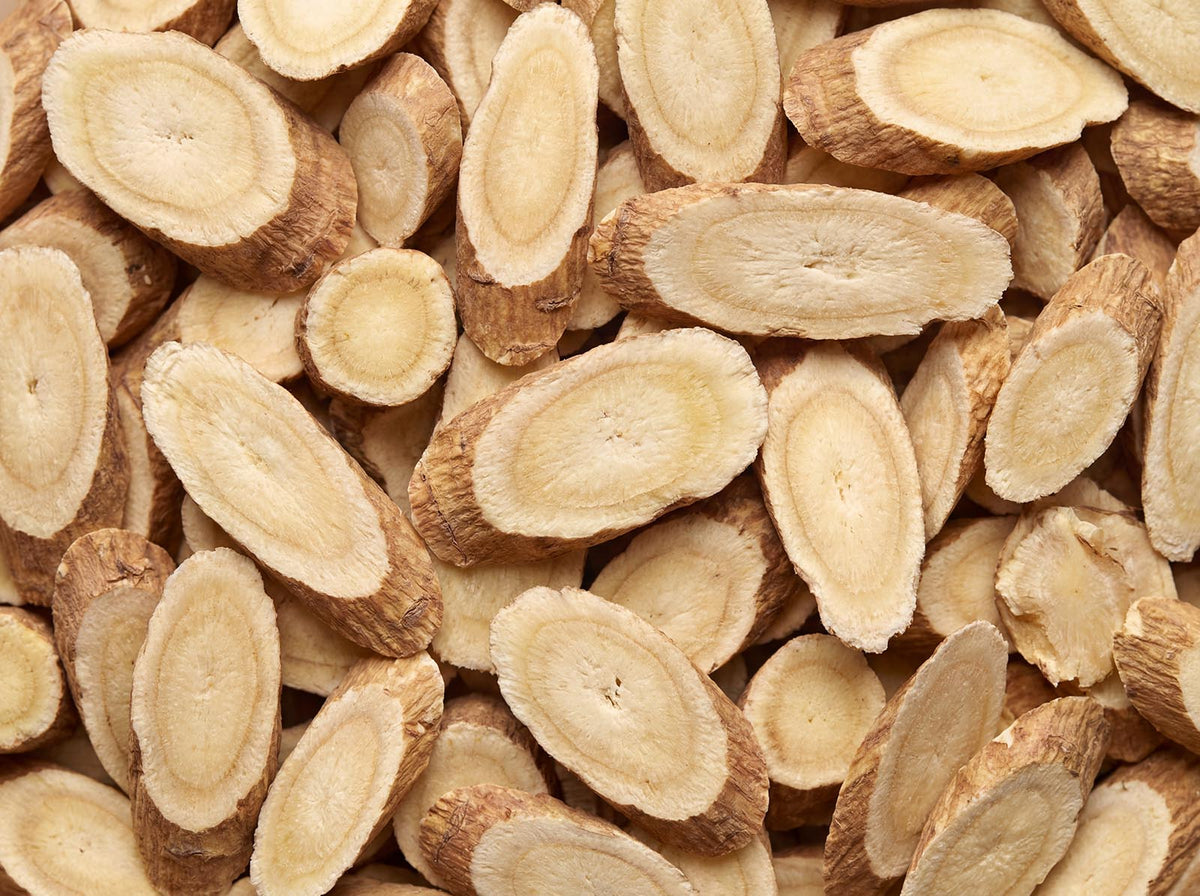Astragalus Root