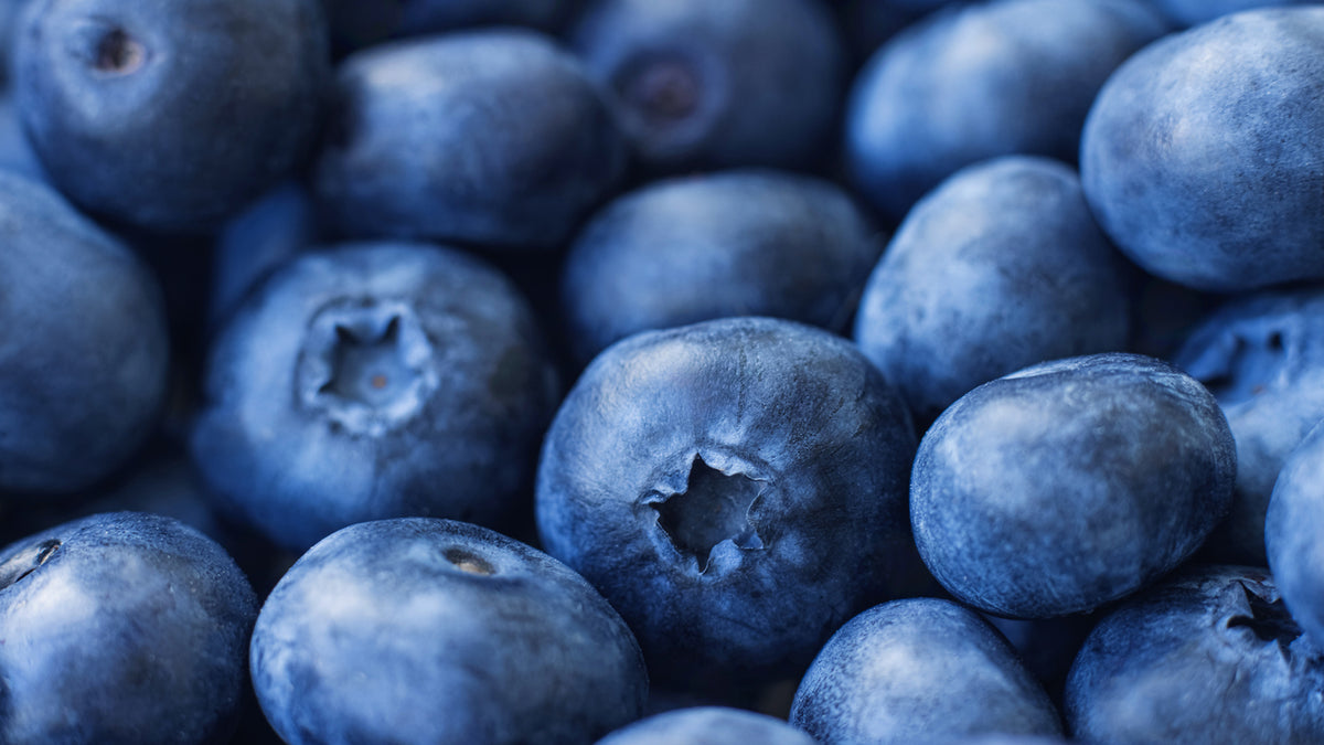 Bilberry