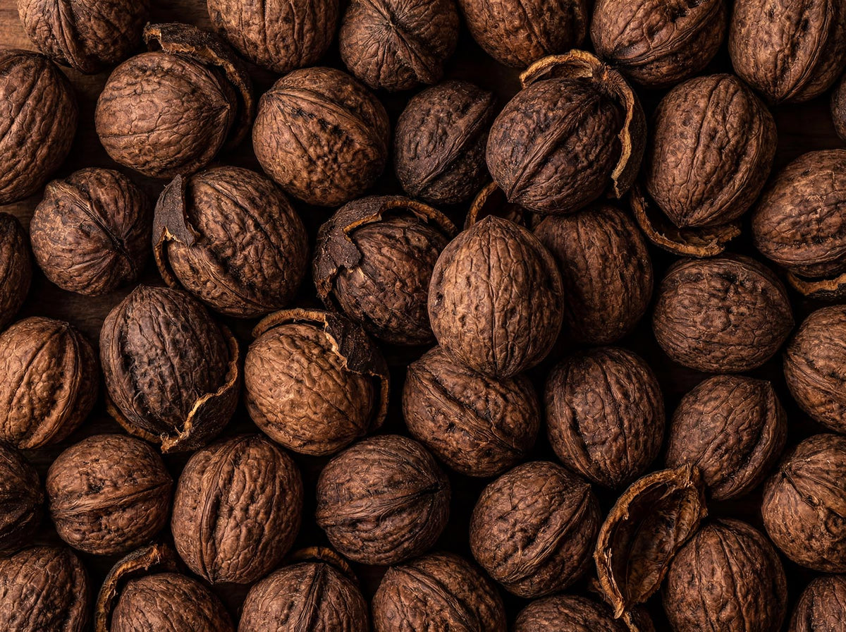 Black Walnut Hulls