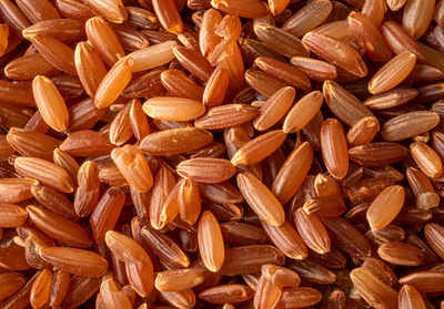Close-up of a pile of brown rice grains