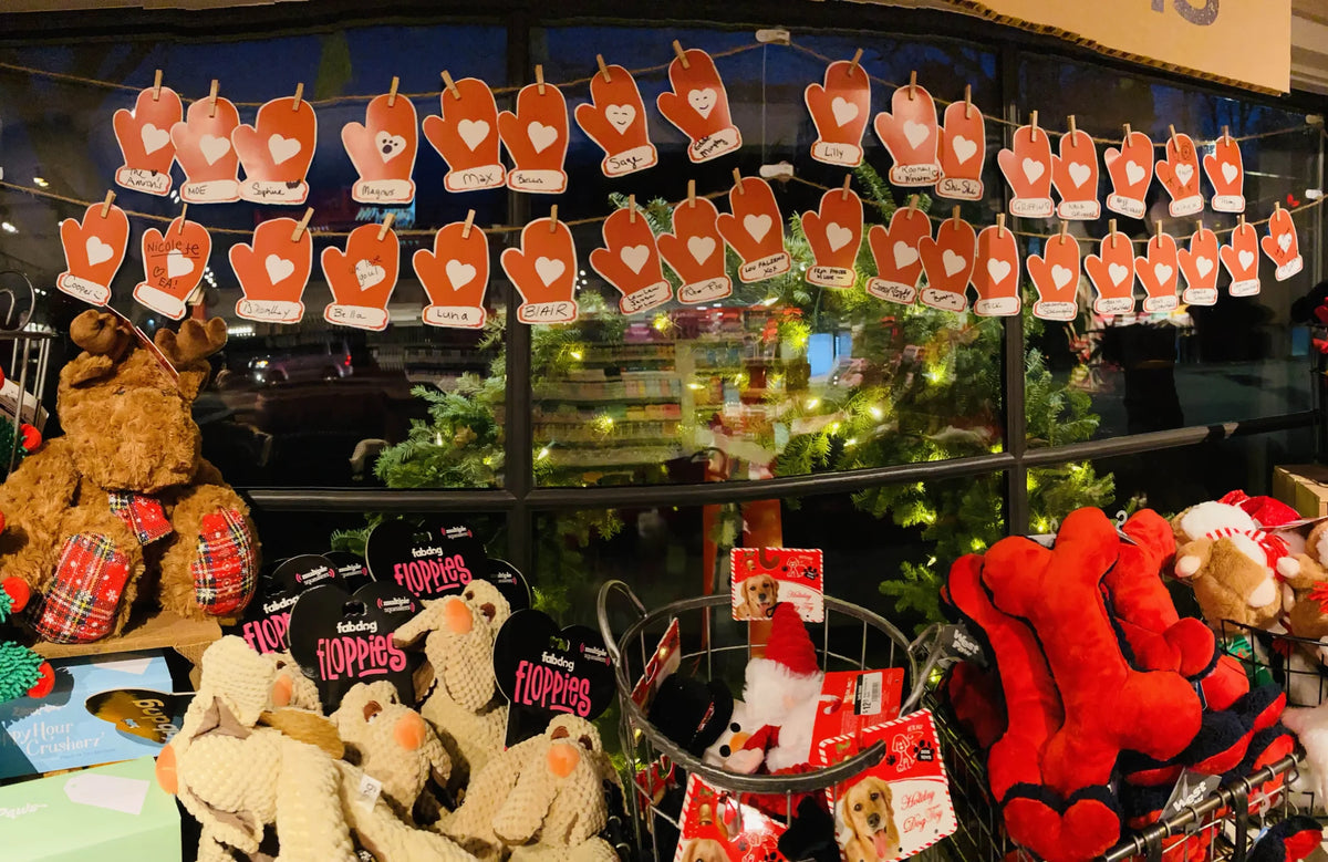 Fill the Window · Oct 1 - Dec 31