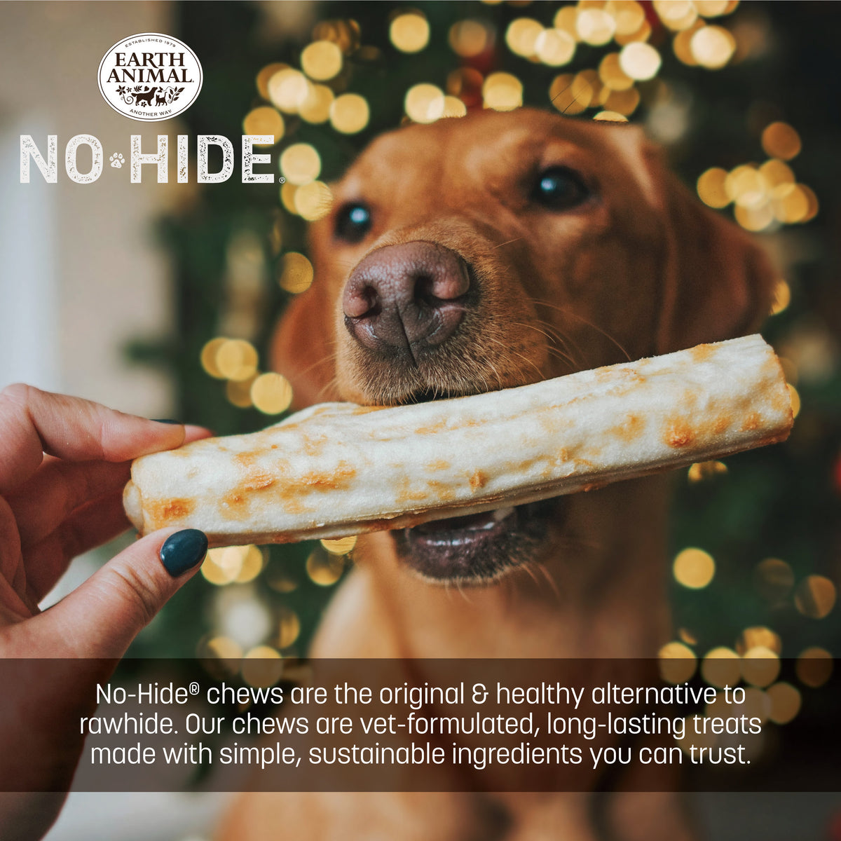 No-Hide Holiday Feast Rolls - Large (life)