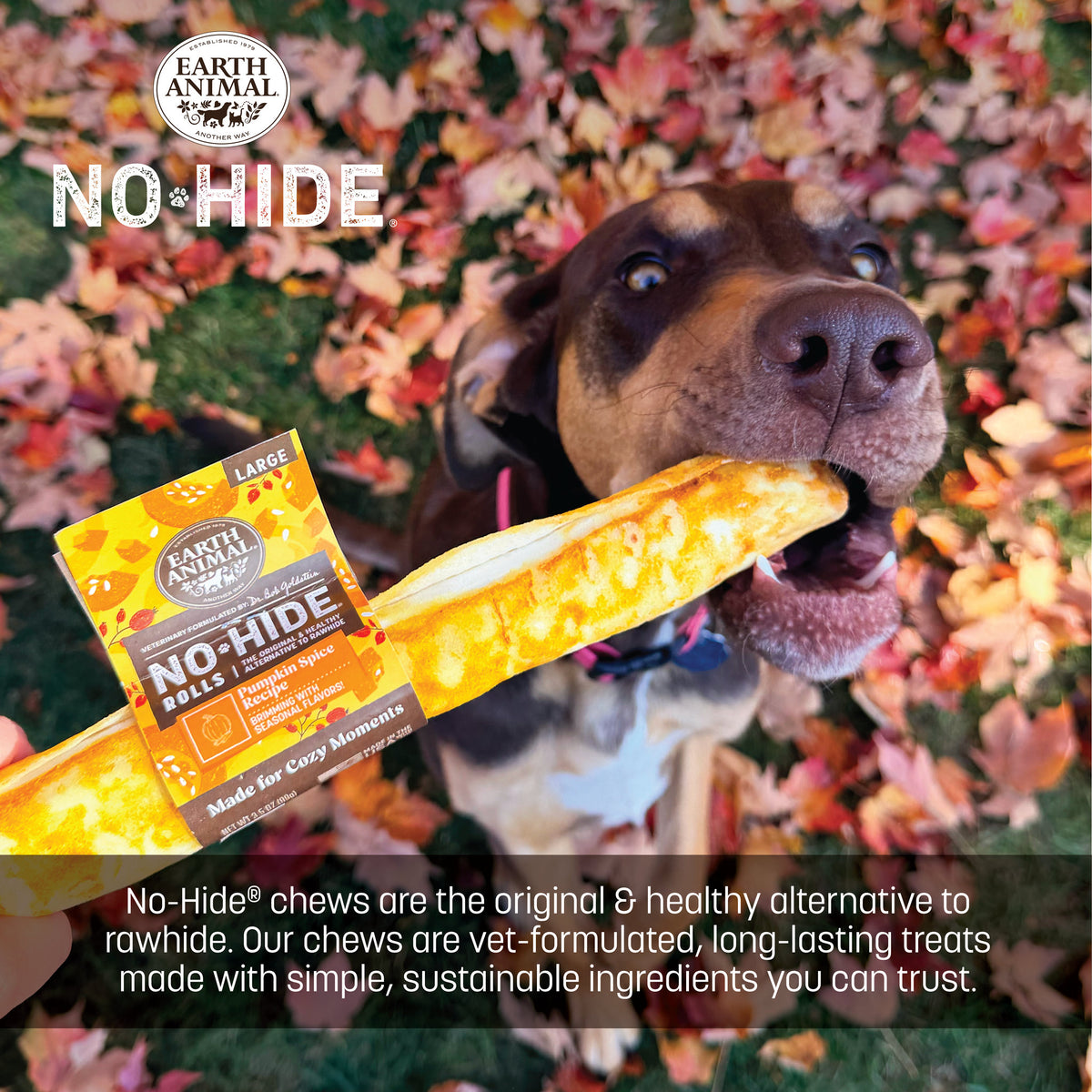 No-Hide Pumpkin Spice Rolls - Large (life)
