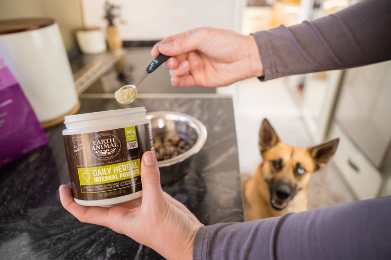 Person measuring Daily Herbal Internal Powder (Flea & Tick protection step 1)  from a container with a spoon, dog watching in the background.