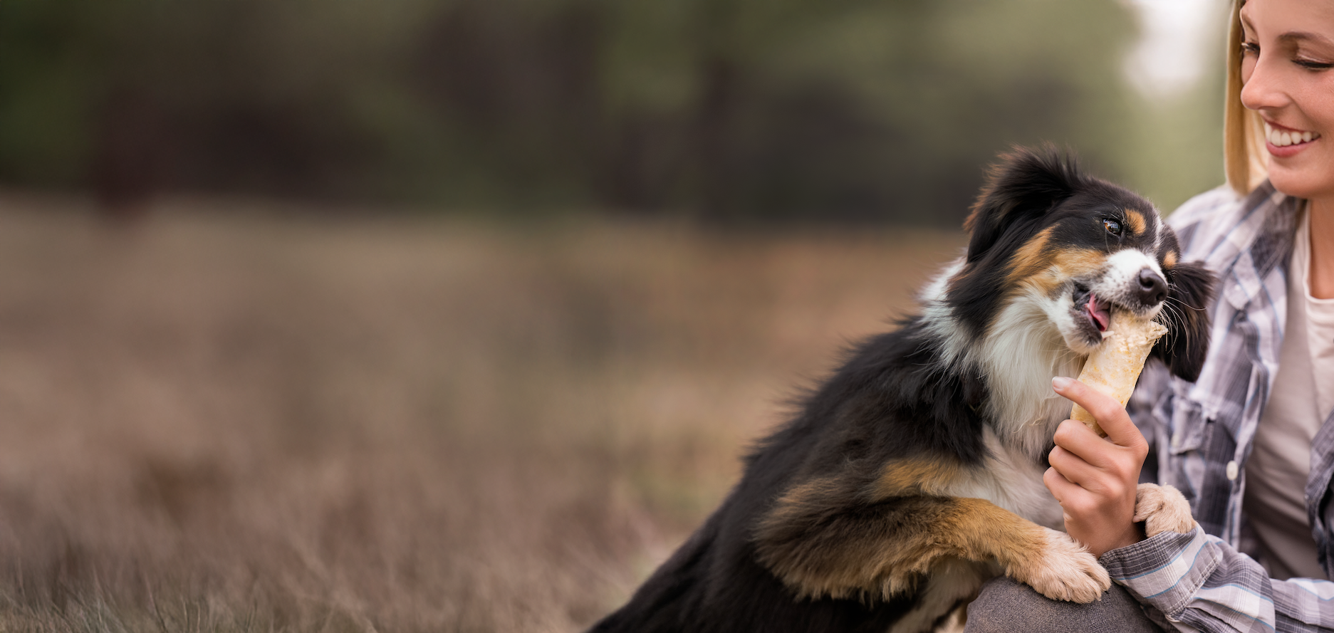 Woman sitting with a dog in a field. The dog is enjoying a No-Hide chew