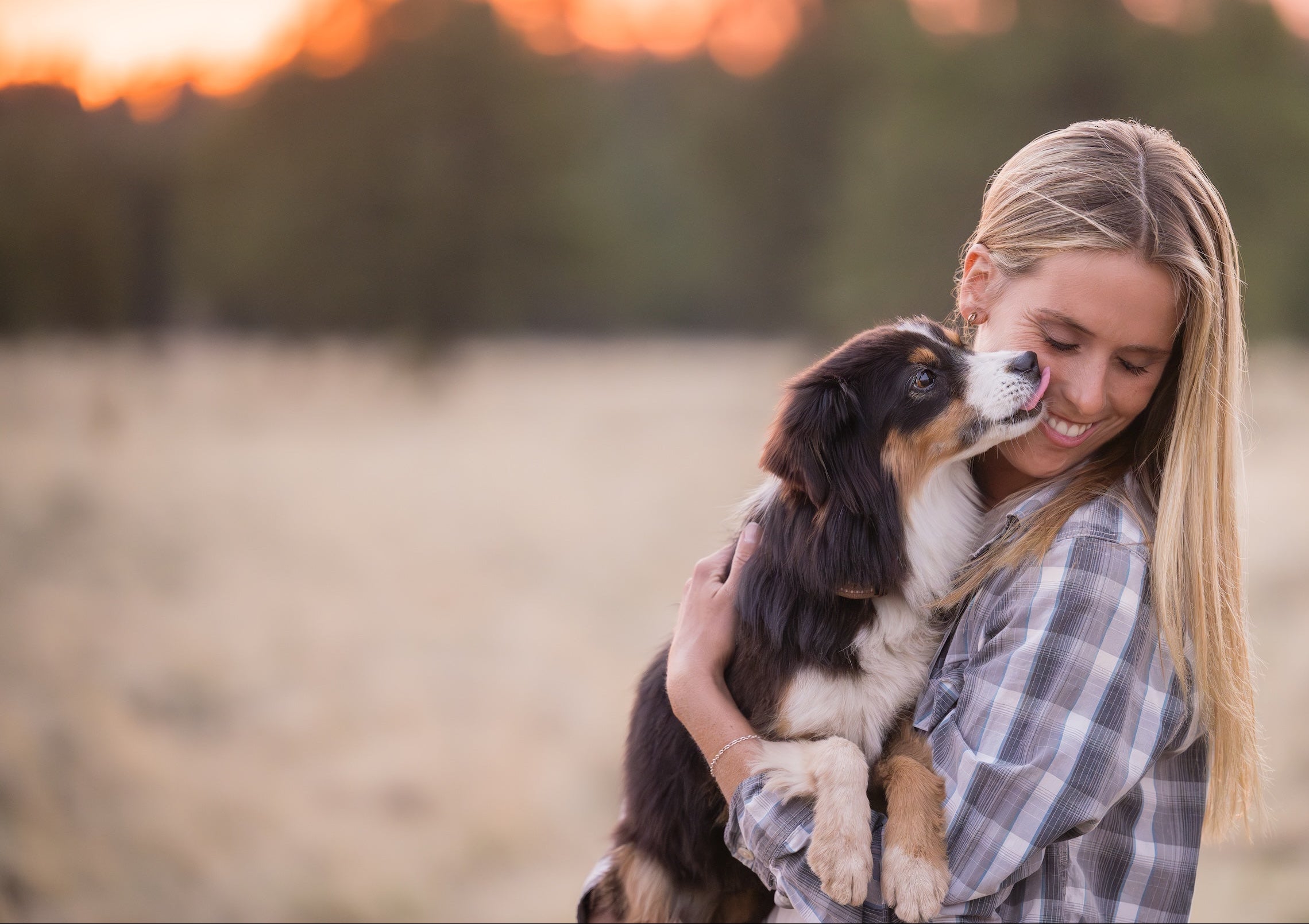 Woman holding a dog in a field with a sunset in the background