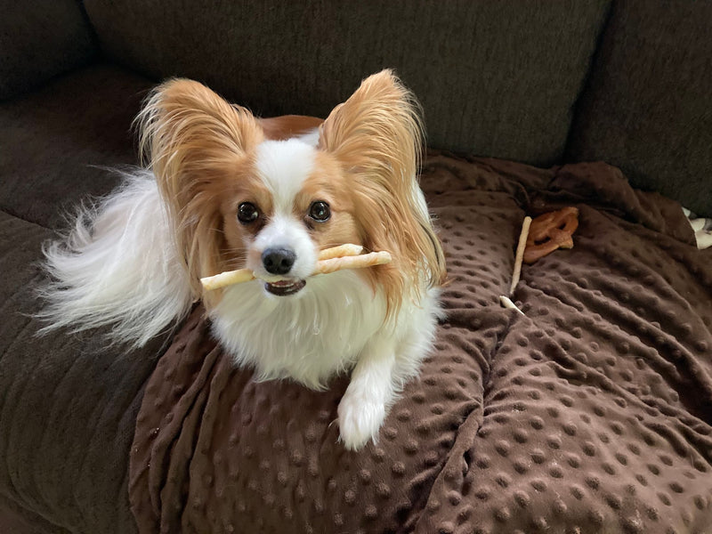 — Bonnie, pet parent