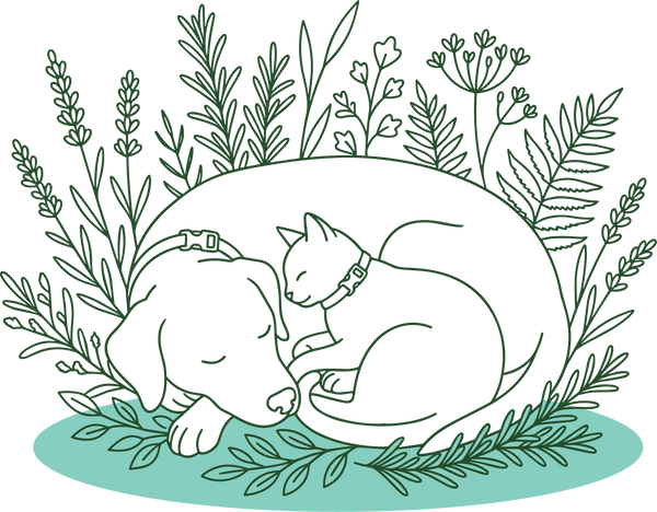 Caring for animals with heart + science