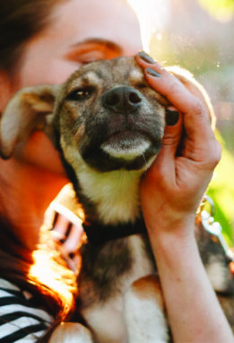 Woman holding and kissing a dog