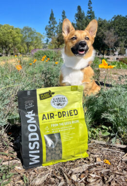 A dog outdoors with flowers and a bag of From the Seed dog food