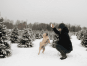 dog and woman in snow