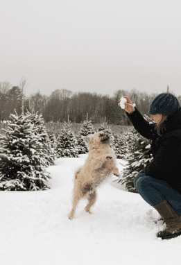 dog and woman in snow