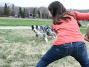 girl throwing ball for dog