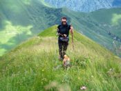 Person and dog hiking