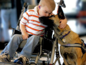 A boy and his Service Dog