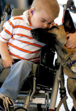 A boy and his Service Dog