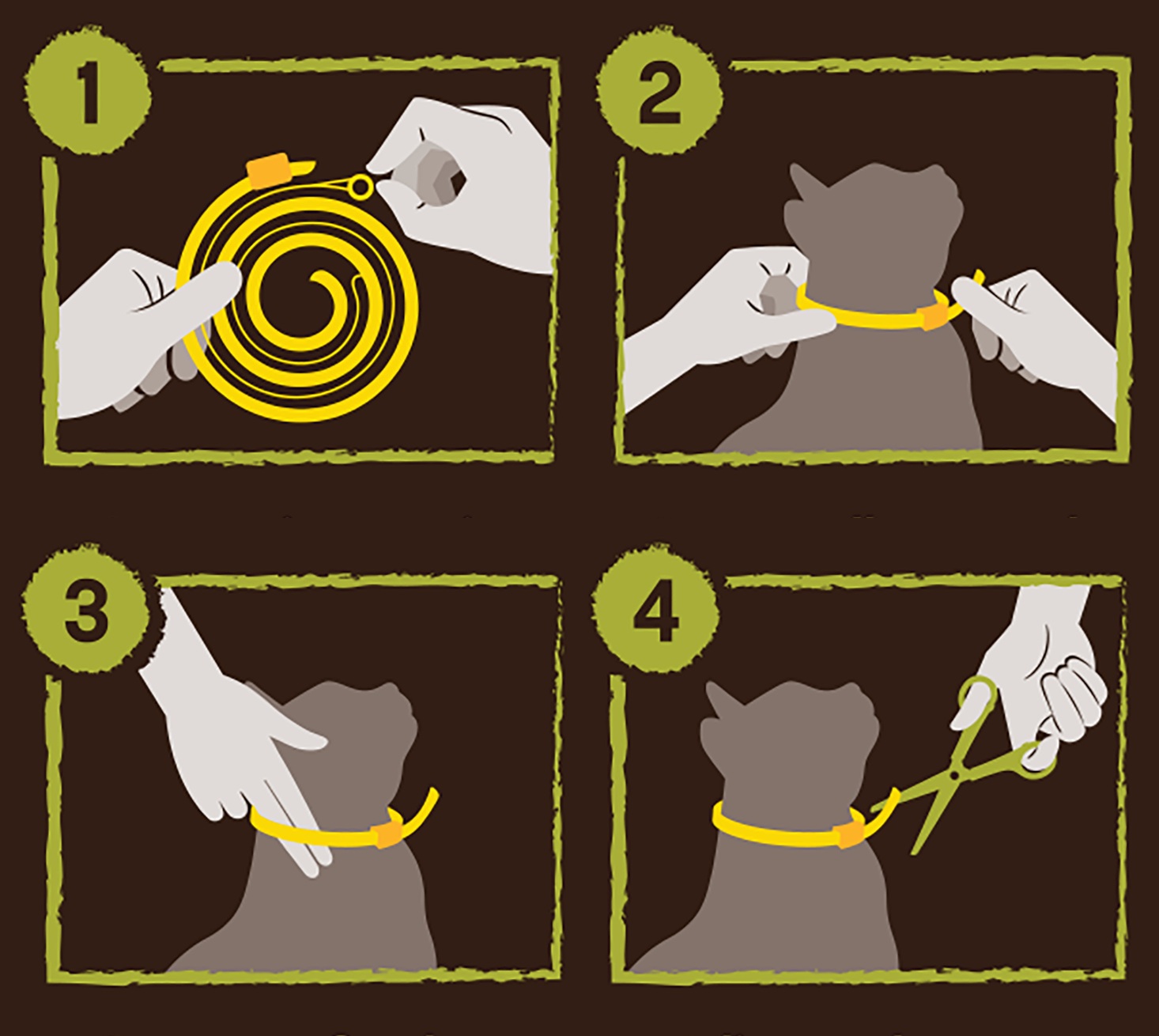 instructions for putting on flea & tick collar