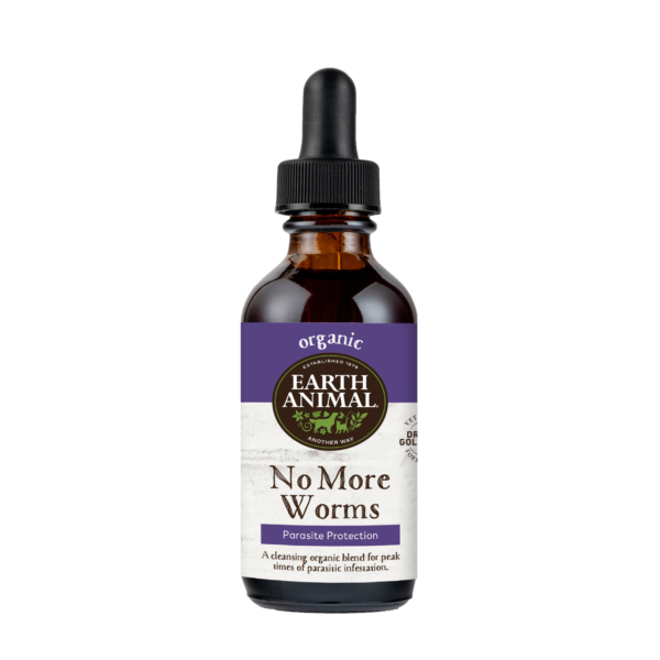 No more worms herbal remedy