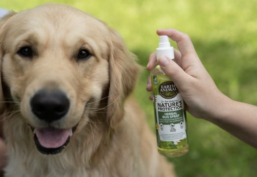 Dog being sprayed with nature's protection bug spray