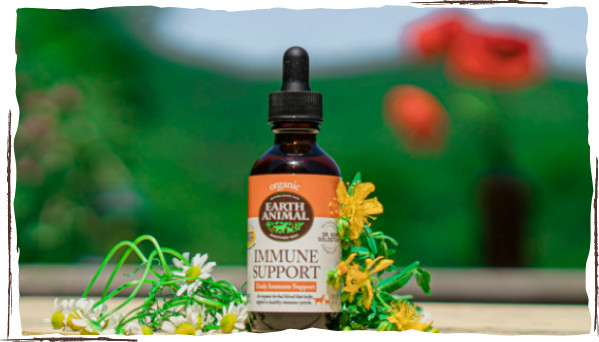 immune support organic herbal remedy