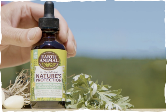 Nature's Protection Daily Herbal drops