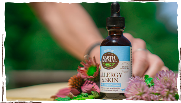 allergy & skin herbal remedy bottle