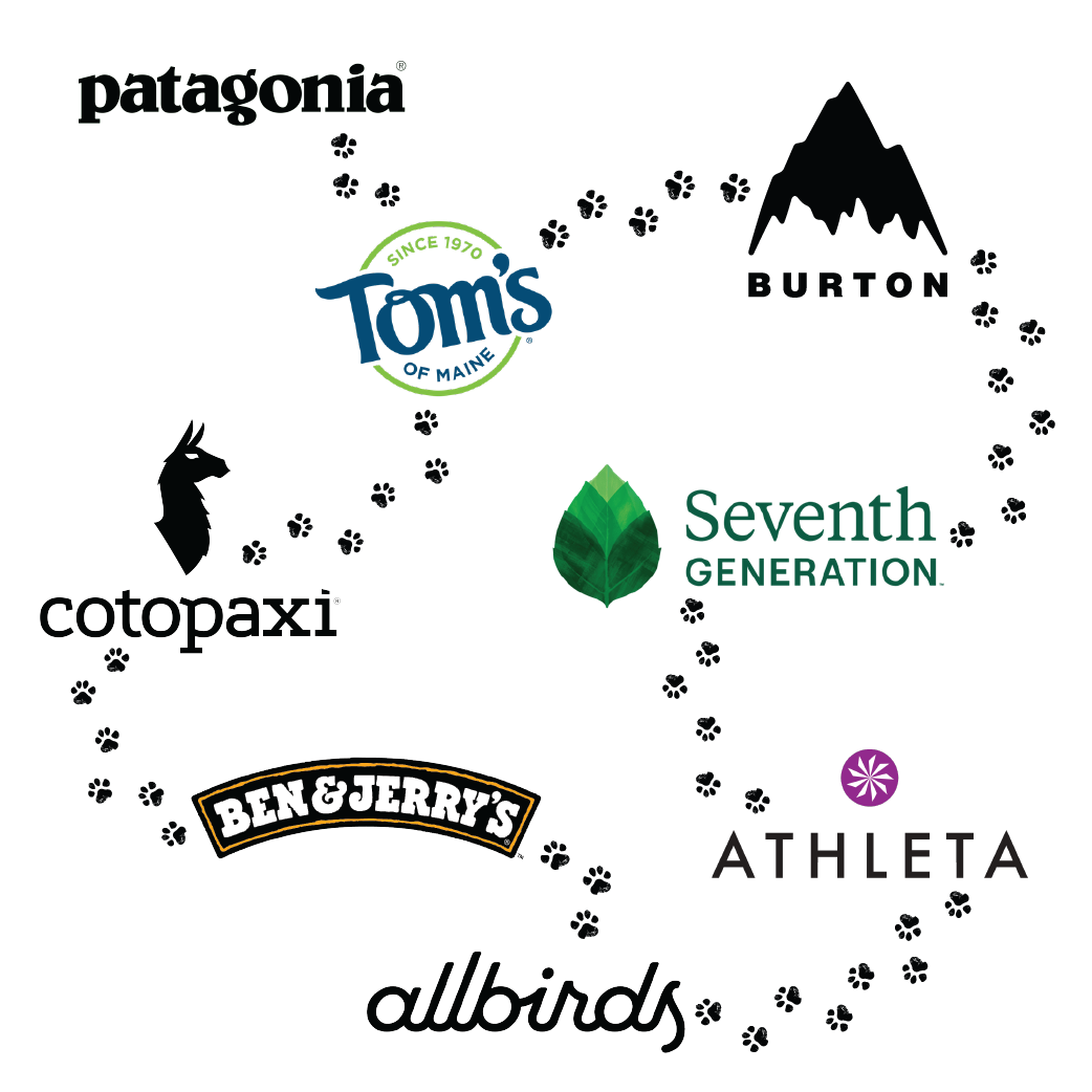 Partners - Patagonia, Burton, Tom's, Cotopaxi, Seventh Generation, Ben&Jerry's, Athleta, Allbirds