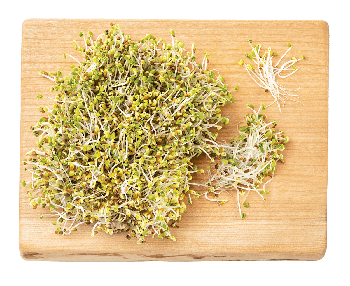 Small board featuring sprouts