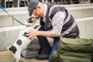 StreetVet volunteer vet treating jack russel dog