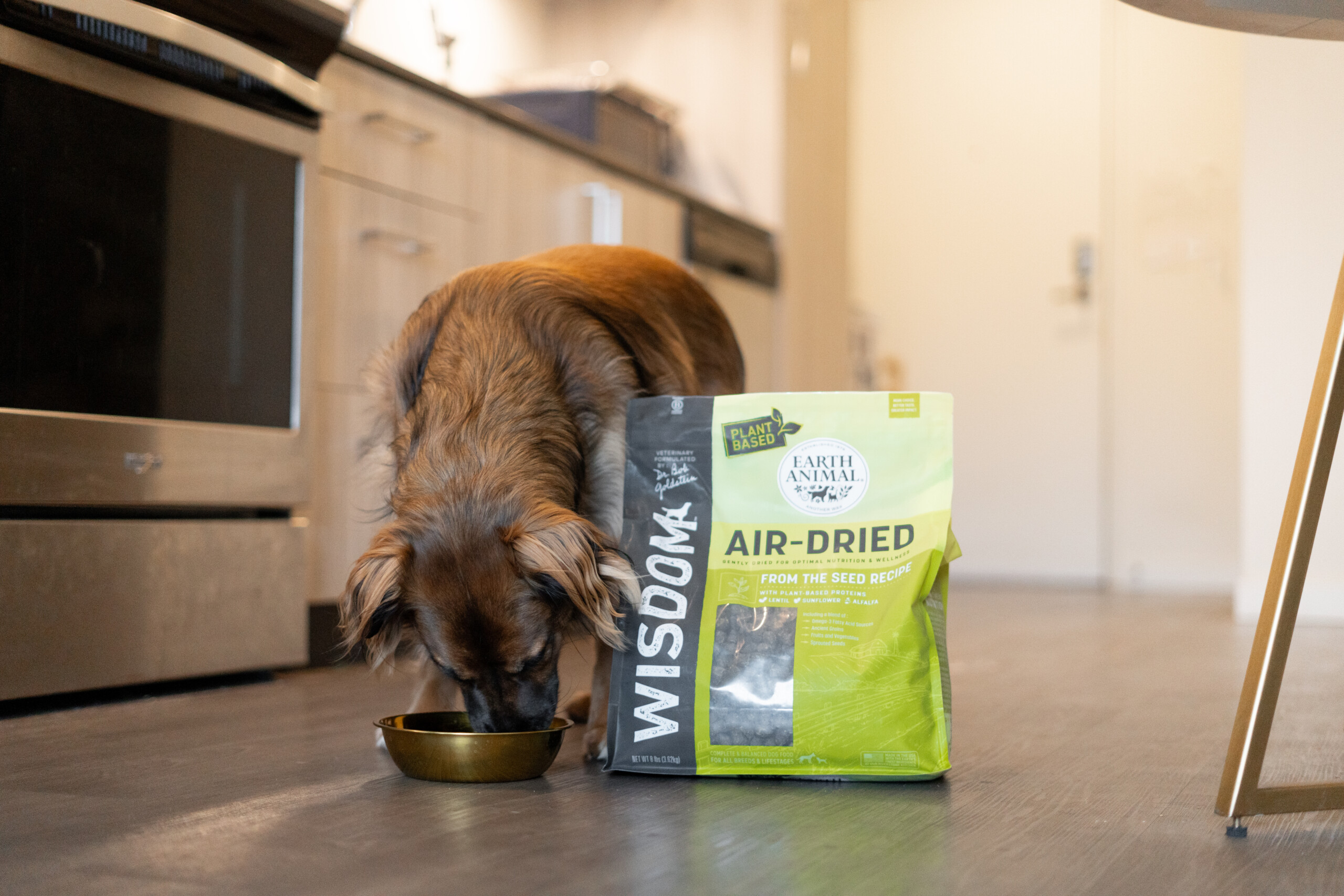 Yes, Dogs CAN Thrive on a Plant-Based Diet! - Earth Animal