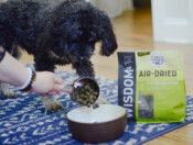 Food being poured into a bowl as dog awaits next to Wisdom Air-Dried bag