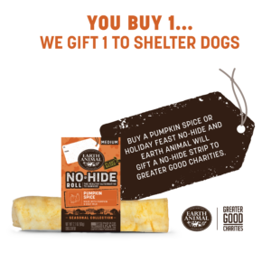 Product image of the Pumpkin Spice No-Hide Medium Roll with gift tag that reads: You buy 1, we gift 1 to shelter dogs. Buy a Pumpkin Spice or Holiday Feast No-Hide and Earth Animal will gift a No-Hide Strip to Greater Good Charities.