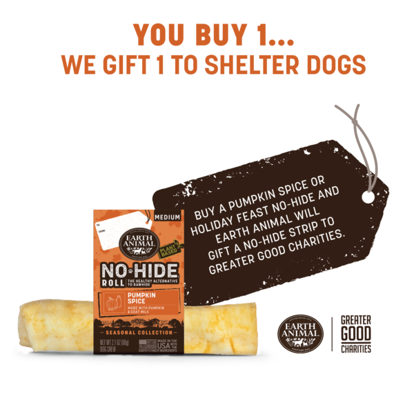 Product image of the Pumpkin Spice No-Hide Medium Roll with gift tag that reads: You buy 1, we gift 1 to shelter dogs. Buy a Pumpkin Spice or Holiday Feast No-Hide and Earth Animal will gift a No-Hide Strip to Greater Good Charities.