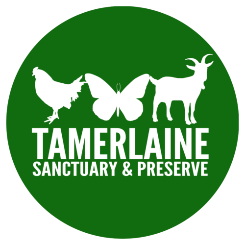 Tamerlaine Sanctuary & Preserve logo