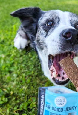 Dog in grass being given a piece of Wisdom Air-Dried Jerky