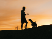 Silhouette of a man and dog with orange sky background