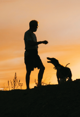 Silhouette of a man and dog with orange sky background