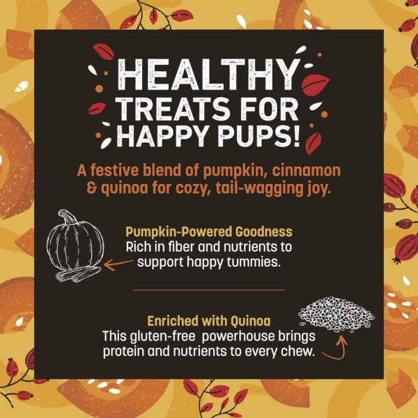 Wisdom™ Air-Dried Seasonal Collection Pumpkin Spice Jerky - Image 4