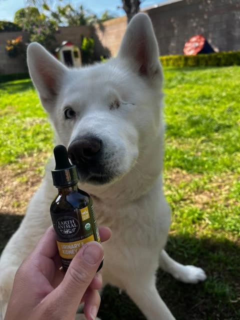 Drai with Earth Animal Supplement