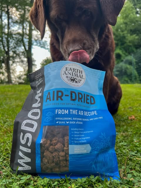 Bindi with Wisdom Air-Dried From The Air Recipe