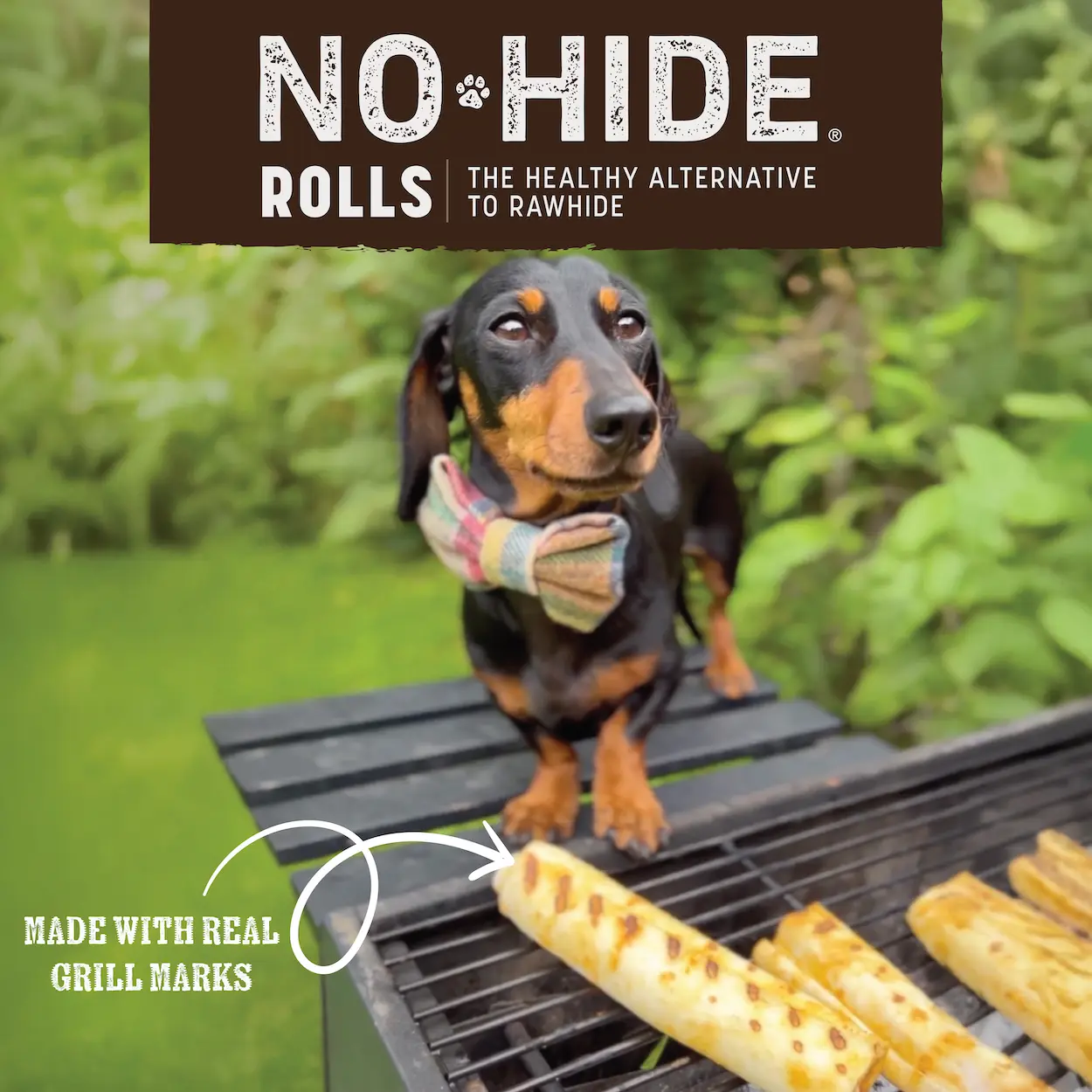 No-Hide® Grilled Cheese Rolls are made with real grill marks. Dog standing on a grill next to No-Hide® Grilled Cheese Rolls.